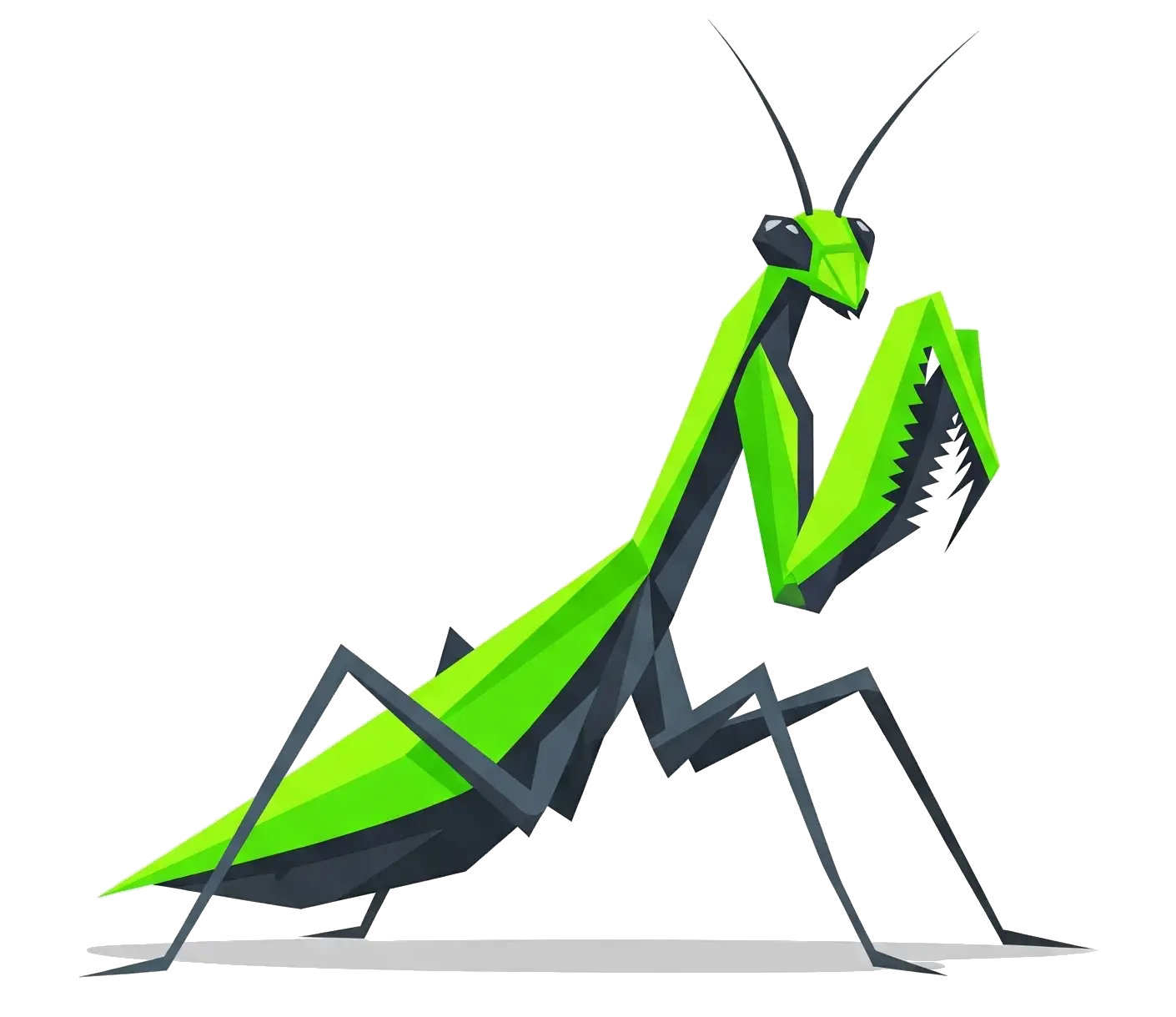 Mantis